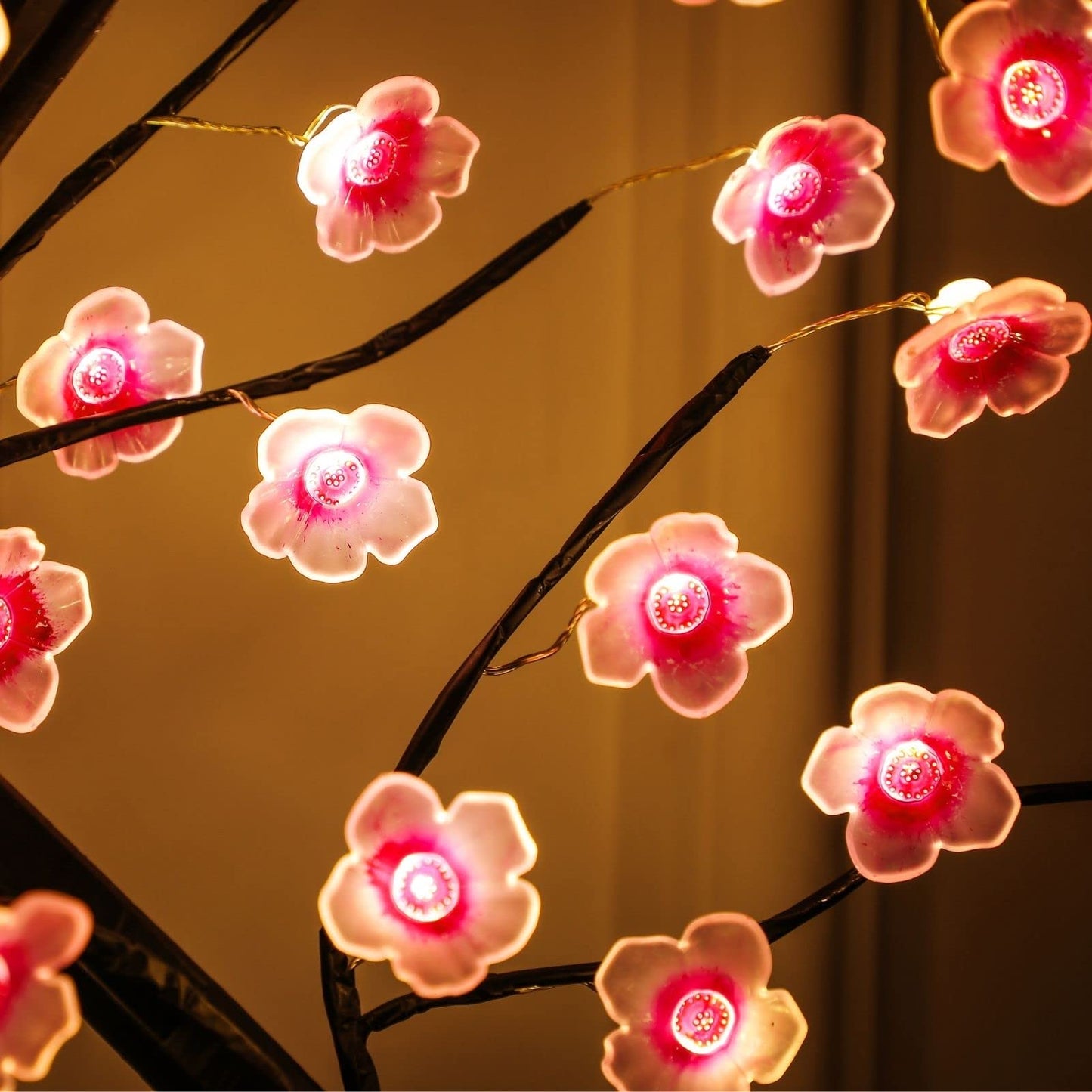 Cherry Blossom Tree