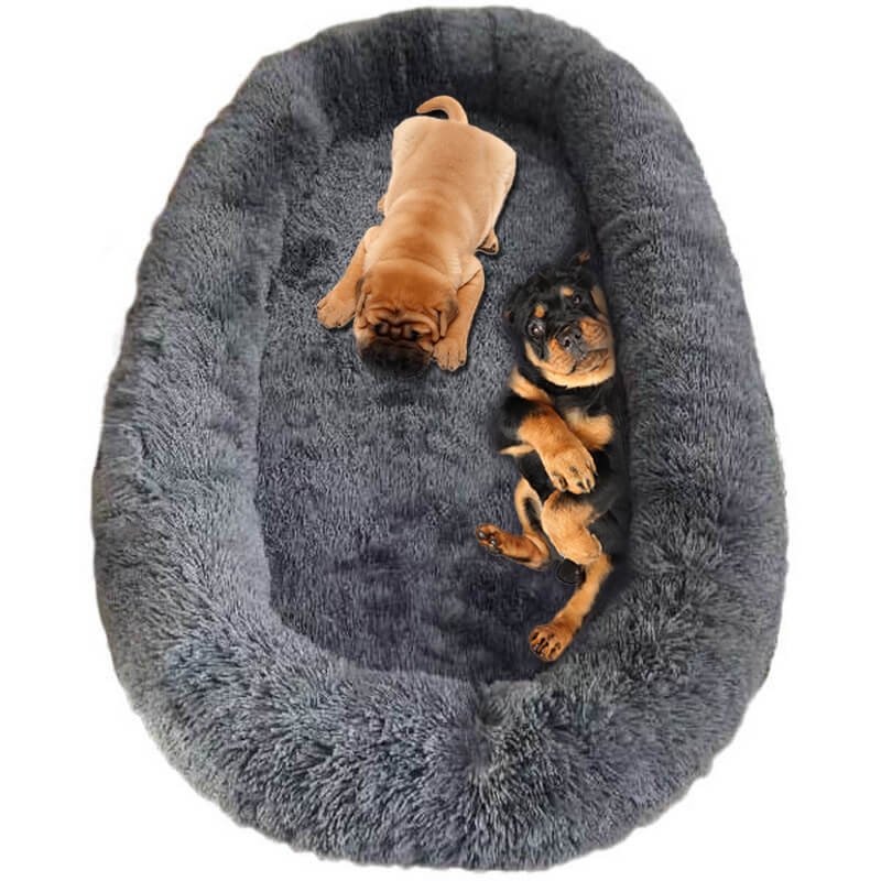 Adult Dog Beds for Humans